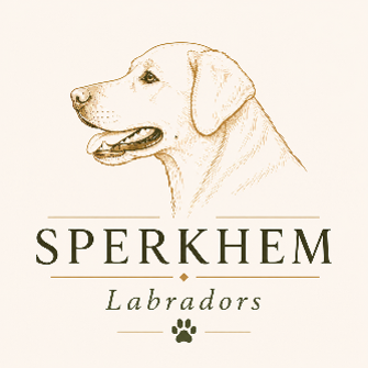 sperkhem labradors